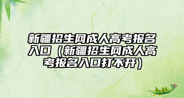 新疆招生网成人高考报名入口（新疆招生网成人高考报名入口打不开）