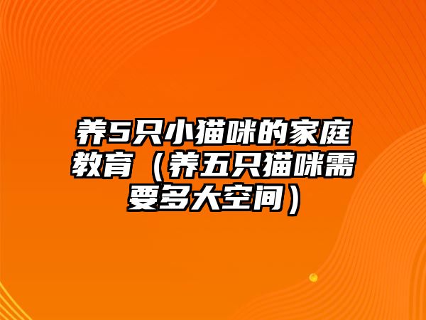 养5只小猫咪的家庭教育（养五只猫咪需要多大空间）