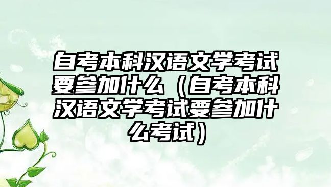 自考本科汉语文学考试要参加什么（自考本科汉语文学考试要参加什么考试）