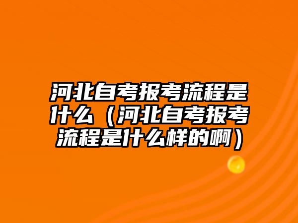 河北自考报考流程是什么（河北自考报考流程是什么样的啊）