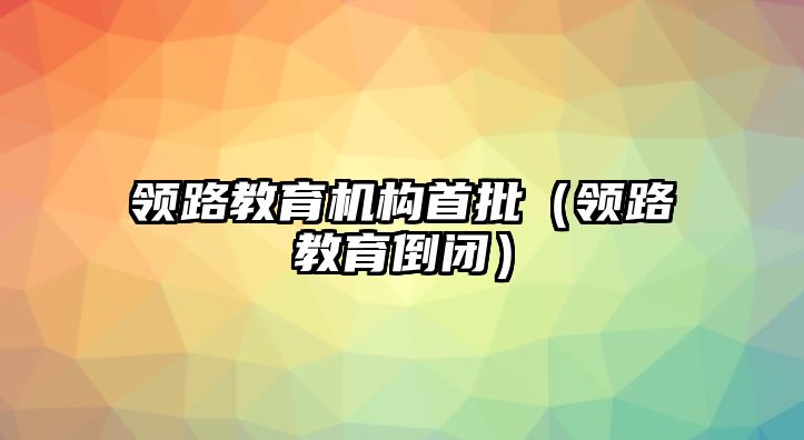 领路教育机构首批（领路教育倒闭）