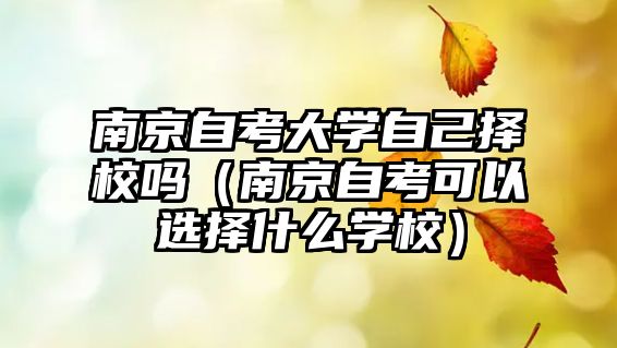 南京自考大学自己择校吗（南京自考可以选择什么学校）