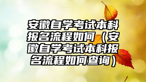 安徽自学考试本科报名流程如何（安徽自学考试本科报名流程如何查询）