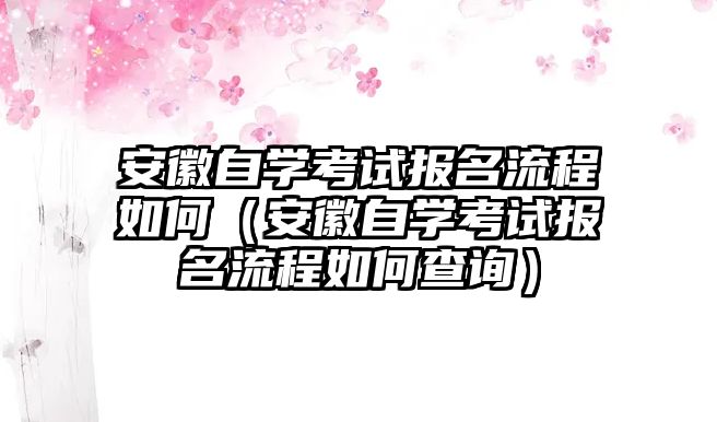 安徽自学考试报名流程如何（安徽自学考试报名流程如何查询）