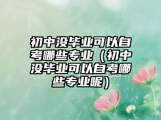 初中没毕业可以自考哪些专业（初中没毕业可以自考哪些专业呢）