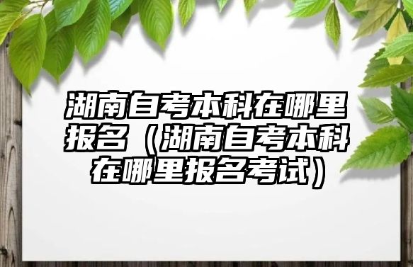 湖南自考本科在哪里报名（湖南自考本科在哪里报名考试）