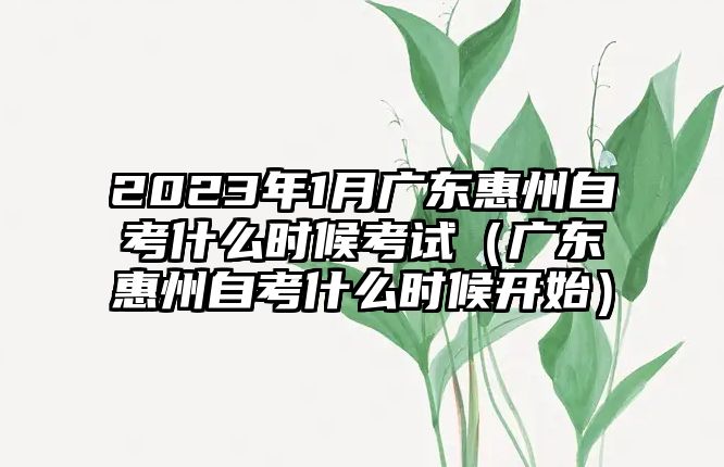 2023年1月广东惠州自考什么时候考试（广东惠州自考什么时候开始）