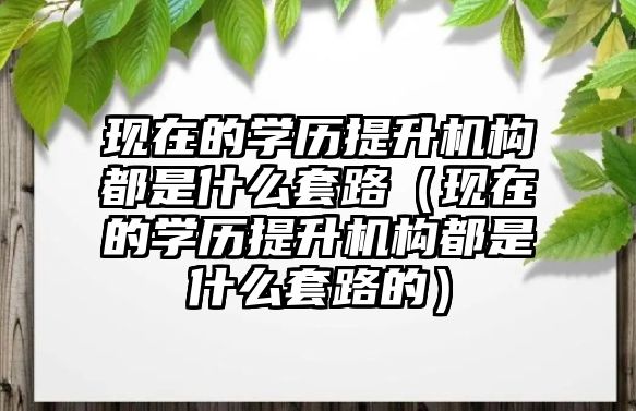 现在的学历提升机构都是什么套路（现在的学历提升机构都是什么套路的）