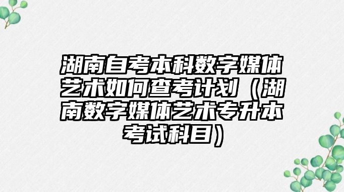 湖南自考本科数字媒体艺术如何查考计划（湖南数字媒体艺术专升本考试科目）