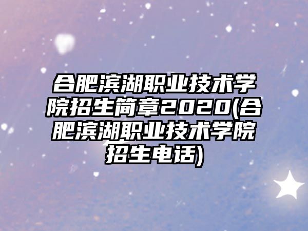 合肥滨湖职业技术学院招生简章2020(合肥滨湖职业技术学院招生电话)