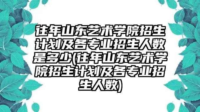 往年山东艺术学院招生计划及各专业招生人数是多少(往年山东艺术学院招生计划及各专业招生人数)