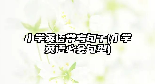 小学英语常考句子(小学英语必会句型)