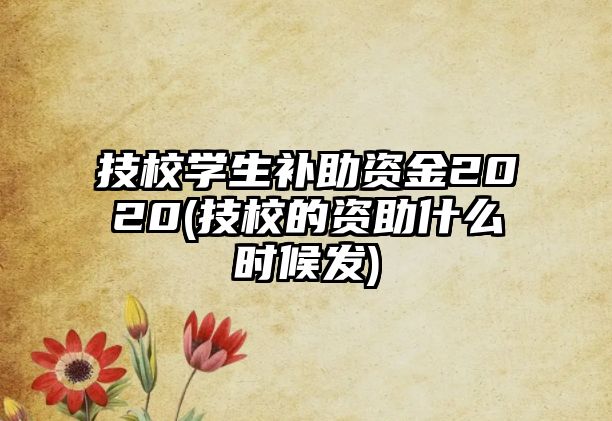 技校学生补助资金2020(技校的资助什么时候发)