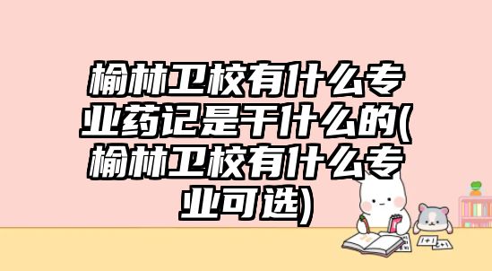 榆林卫校有什么专业药记是干什么的(榆林卫校有什么专业可选)