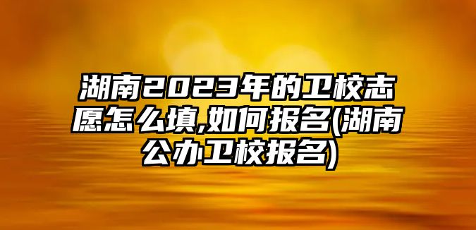 湖南2023年的卫校志愿怎么填,如何报名(湖南公办卫校报名)