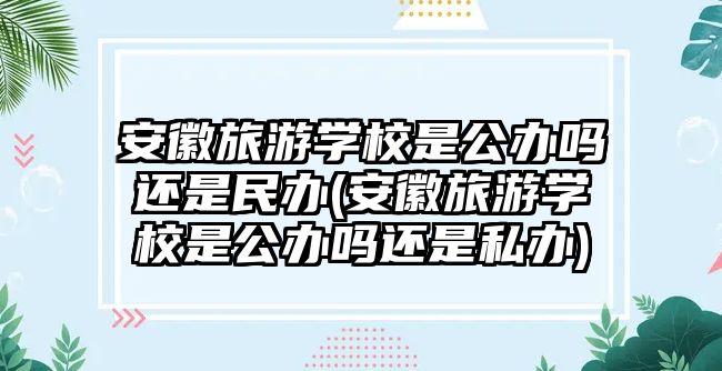 安徽旅游学校是公办吗还是民办(安徽旅游学校是公办吗还是私办)