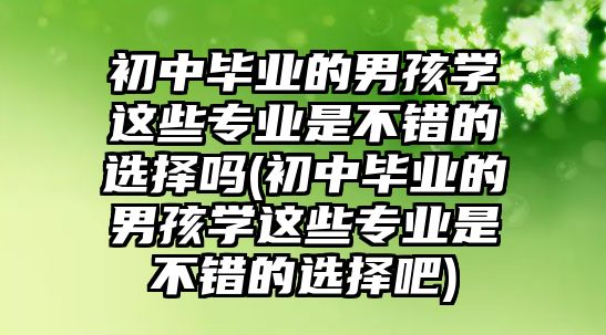 初中毕业的男孩学这些专业是不错的选择吗(初中毕业的男孩学这些专业是不错的选择吧)