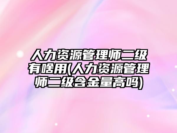 人力资源管理师二级有啥用(人力资源管理师二级含金量高吗)