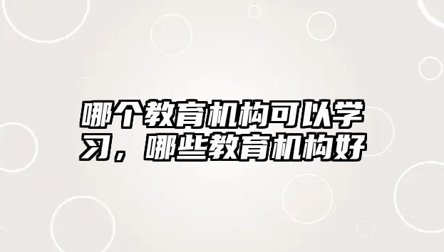 哪个教育机构可以学习，哪些教育机构好