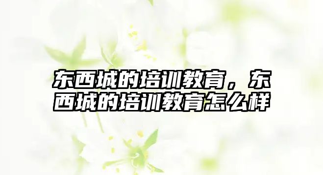 东西城的培训教育，东西城的培训教育怎么样