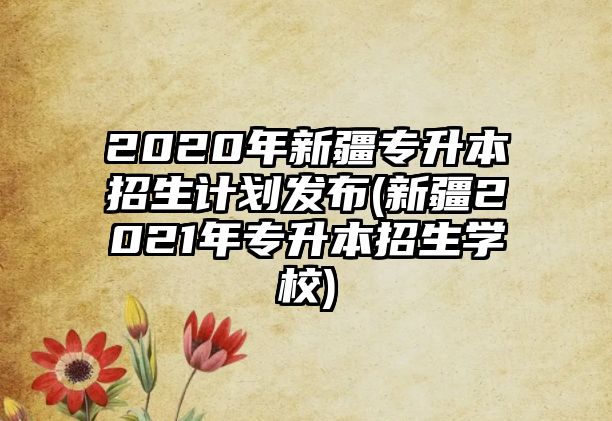 2020年新疆专升本招生计划发布(新疆2021年专升本招生学校)