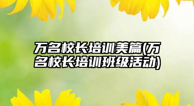 万名校长培训美篇(万名校长培训班级活动)