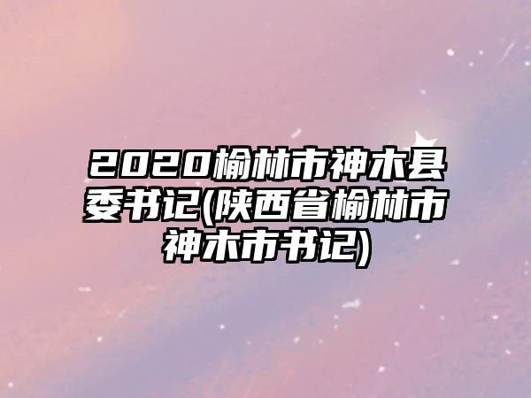 2020榆林市神木县委书记(陕西省榆林市神木市书记)