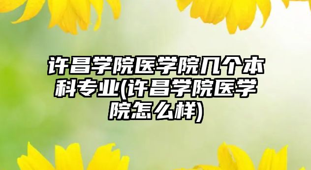 许昌学院医学院几个本科专业(许昌学院医学院怎么样)