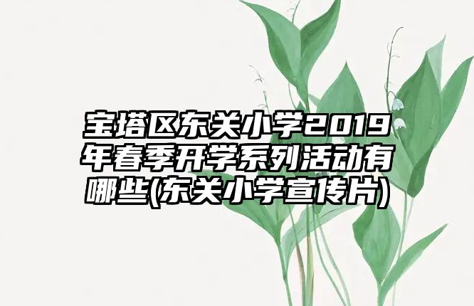 宝塔区东关小学2019年春季开学系列活动有哪些(东关小学宣传片)