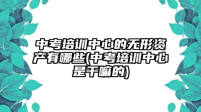 中考培训中心的无形资产有哪些(中考培训中心是干嘛的)