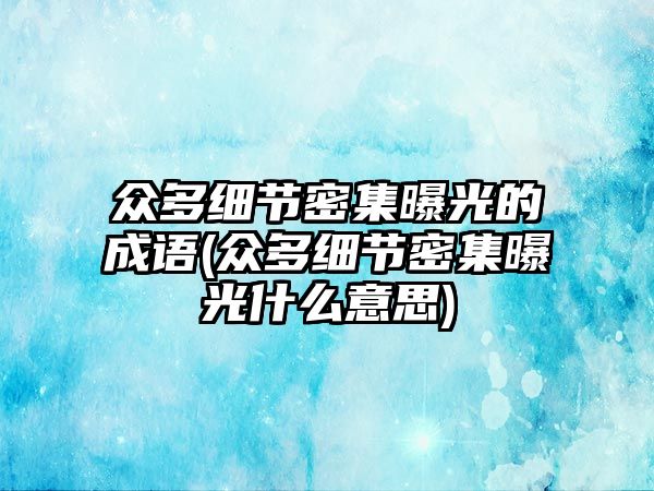 众多细节密集曝光的成语(众多细节密集曝光什么意思)