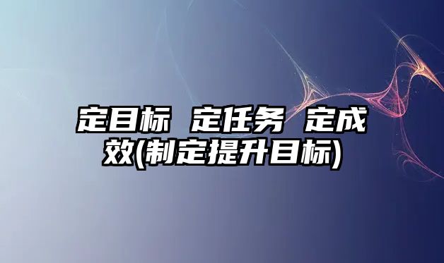 定目标 定任务 定成效(制定提升目标)