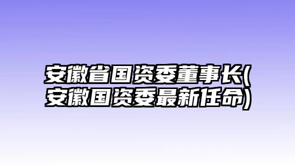 安徽省国资委董事长(安徽国资委最新任命)