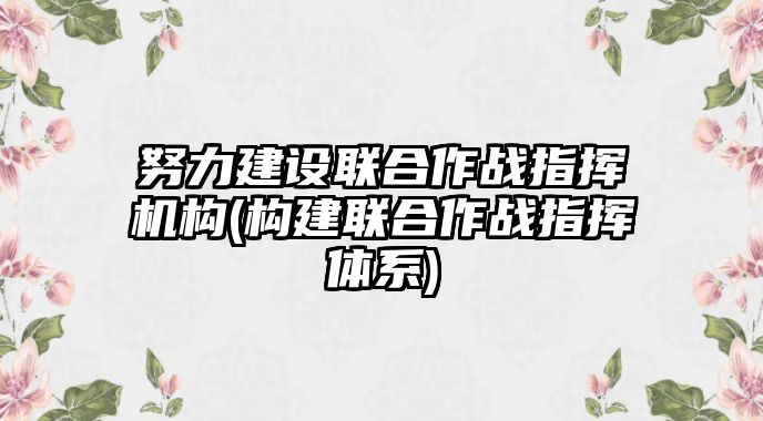 努力建设联合作战指挥机构(构建联合作战指挥体系)