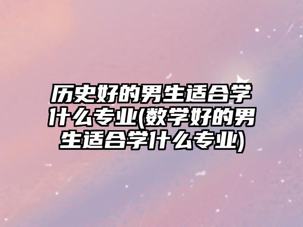 历史好的男生适合学什么专业(数学好的男生适合学什么专业)