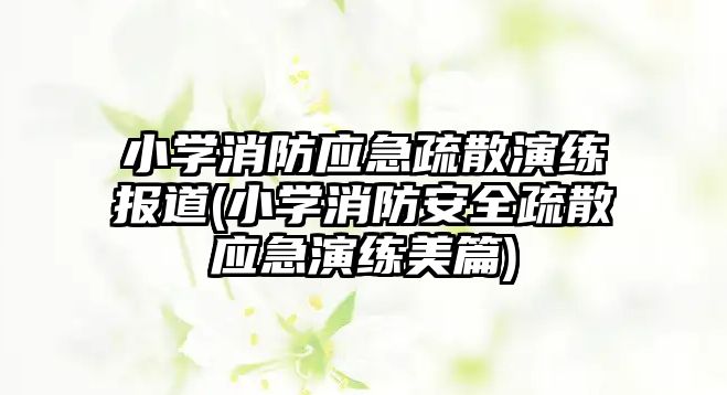 小学消防应急疏散演练报道(小学消防安全疏散应急演练美篇)