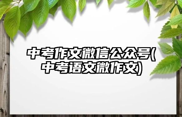 中考作文微信公众号(中考语文微作文)