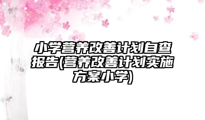 小学营养改善计划自查报告(营养改善计划实施方案小学)