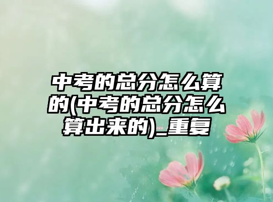 中考的总分怎么算的(中考的总分怎么算出来的)_重复