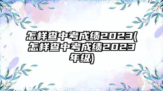 怎样查中考成绩2023(怎样查中考成绩2023年级)