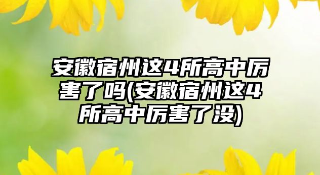 安徽宿州这4所高中厉害了吗(安徽宿州这4所高中厉害了没)