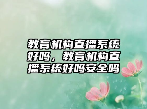 教育机构直播系统好吗，教育机构直播系统好吗安全吗