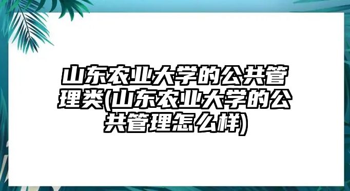 山东农业大学的公共管理类(山东农业大学的公共管理怎么样)