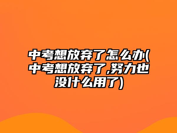 中考想放弃了怎么办(中考想放弃了,努力也没什么用了)