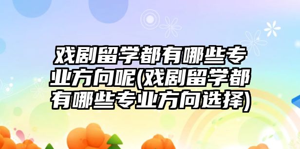 戏剧留学都有哪些专业方向呢(戏剧留学都有哪些专业方向选择)