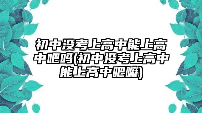 初中没考上高中能上高中吧吗(初中没考上高中能上高中吧嘛)