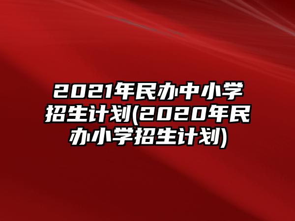 2021年民办中小学招生计划(2020年民办小学招生计划)