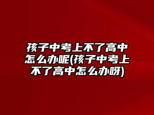 孩子中考上不了高中怎么办呢(孩子中考上不了高中怎么办呀)