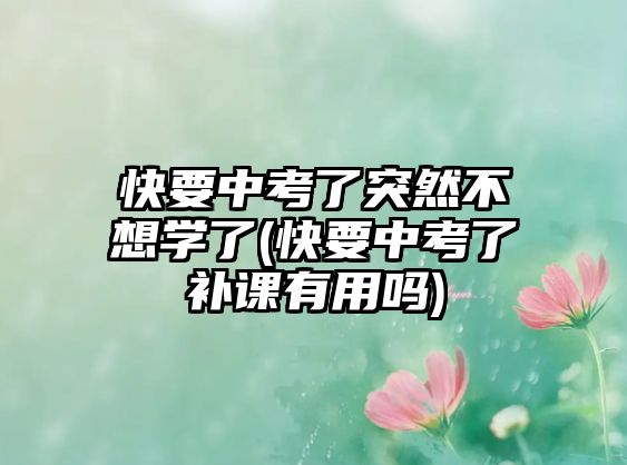 快要中考了突然不想学了(快要中考了补课有用吗)